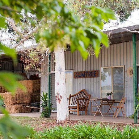 Peppertree Farm Mudgee Villa Eksteriør billede