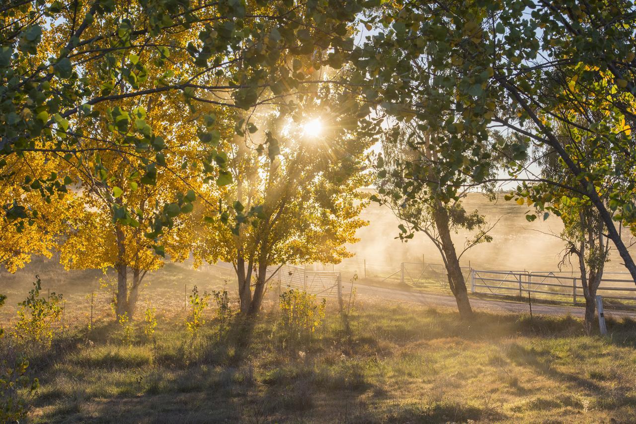Peppertree Farm Mudgee Villa Eksteriør billede